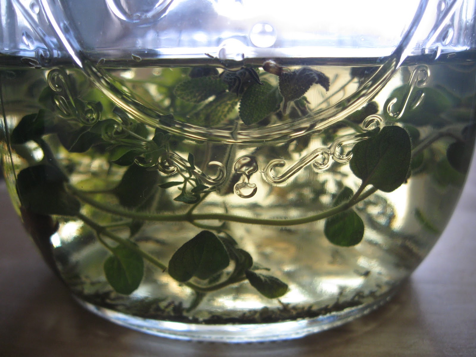 Green Feather Herbs Herbal Mouthwash