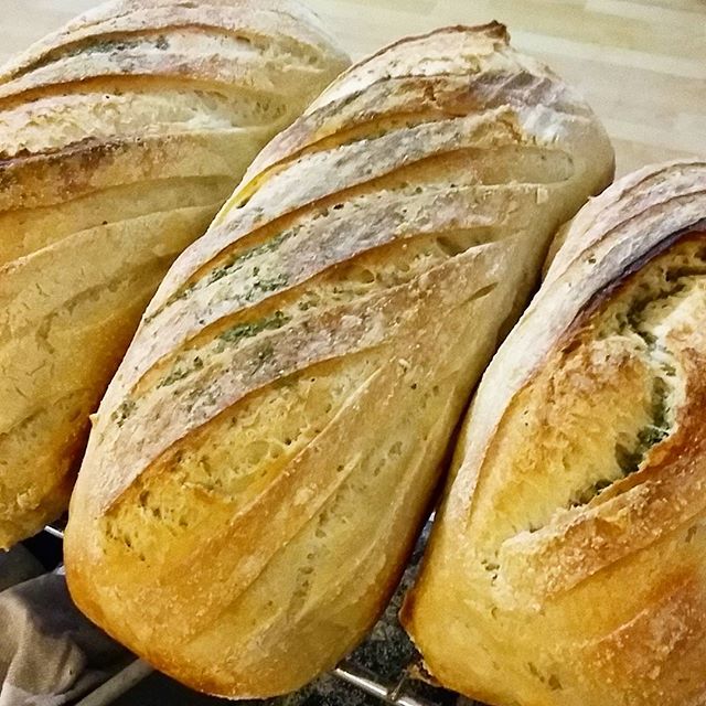 FOOD PRESERVING: POTATO STARCH SOURDOUGH BREAD (72% HYDRATION)