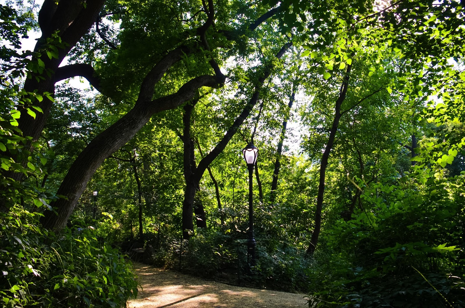 central park