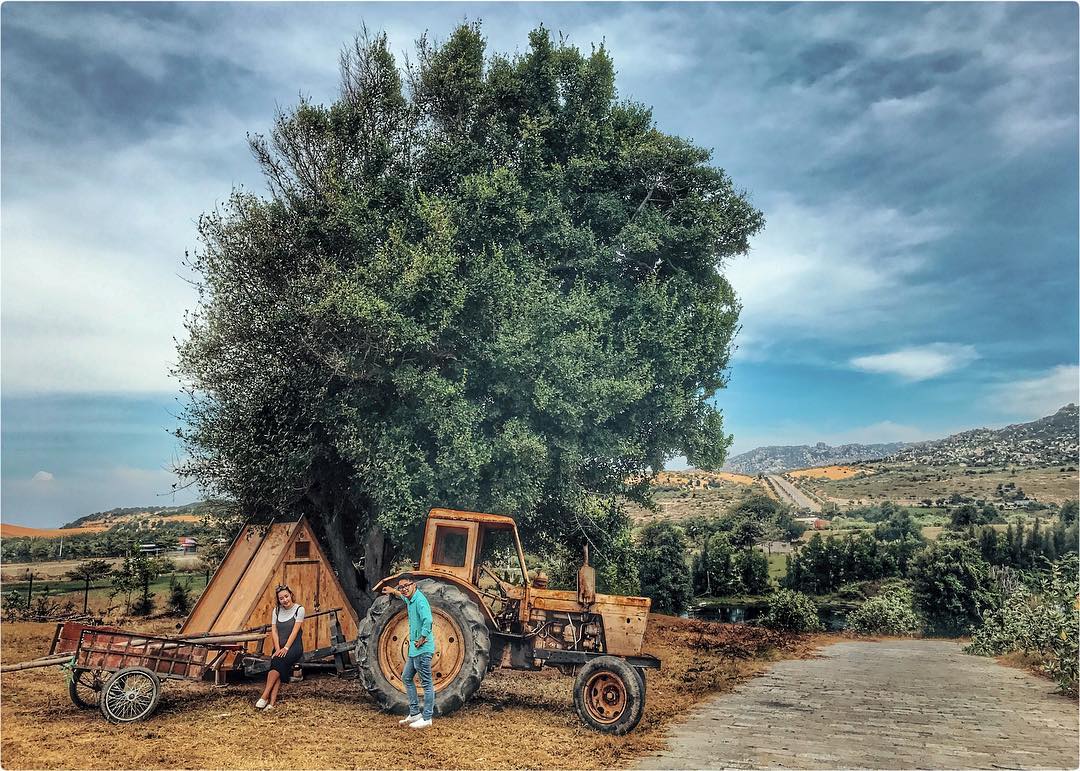 Kinh nghiệm phượt, du lịch Mũi Dinh Sơn Hải Ninh Thuận tự túc A-Z