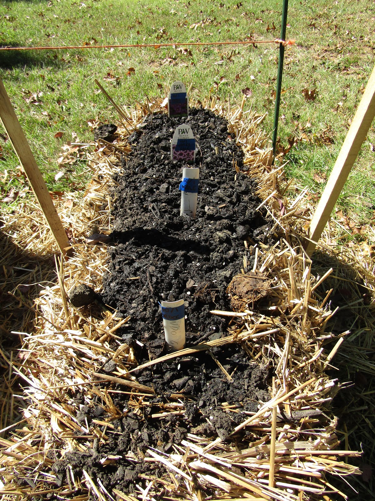 Maple Hill 101: Straw Bale Gardening