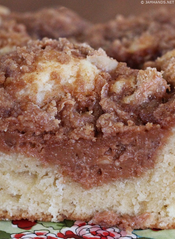 Cinnamon Cream Cheese Coffee Cake