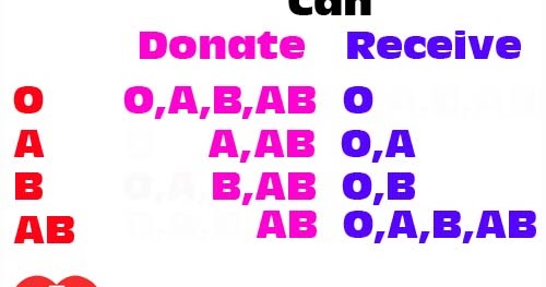 Blood Donor Receiver Chart