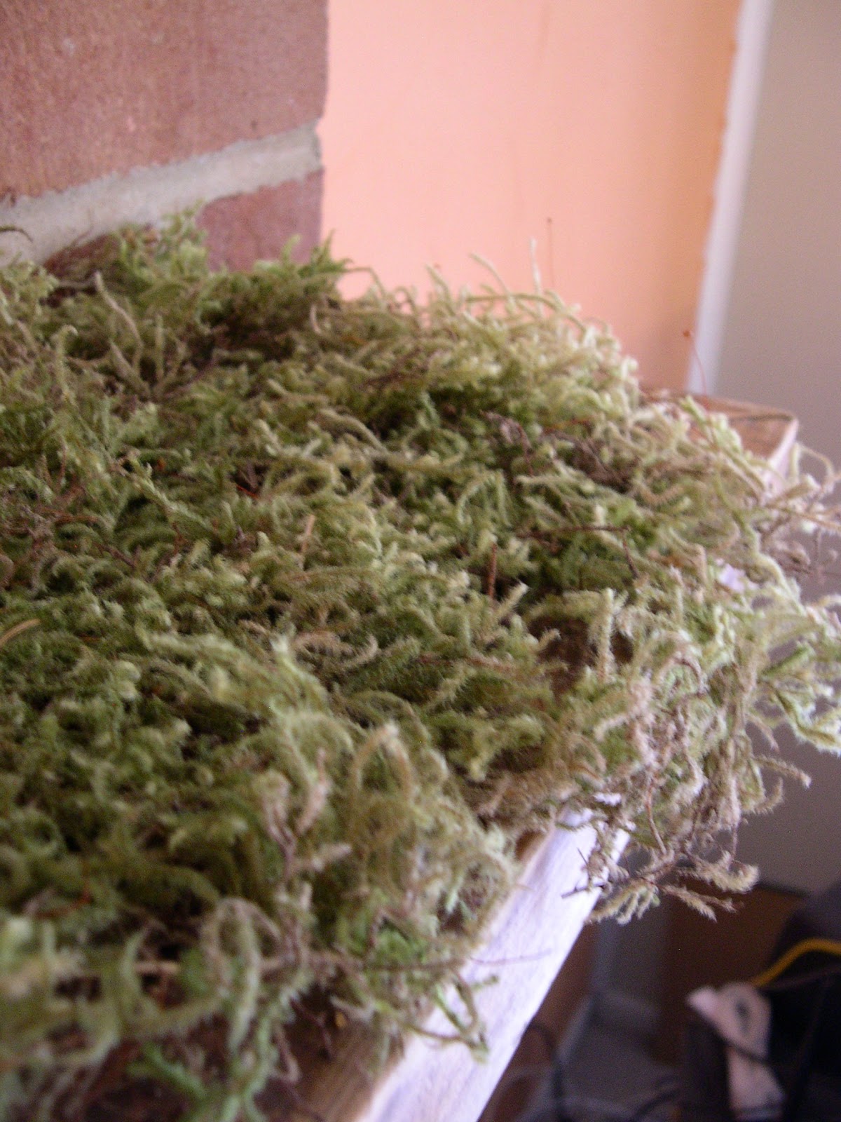 CM Shaw Studios How to Decorate With Dry Moss