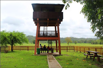 taman-nasional-alas-purwo-banyuwangi