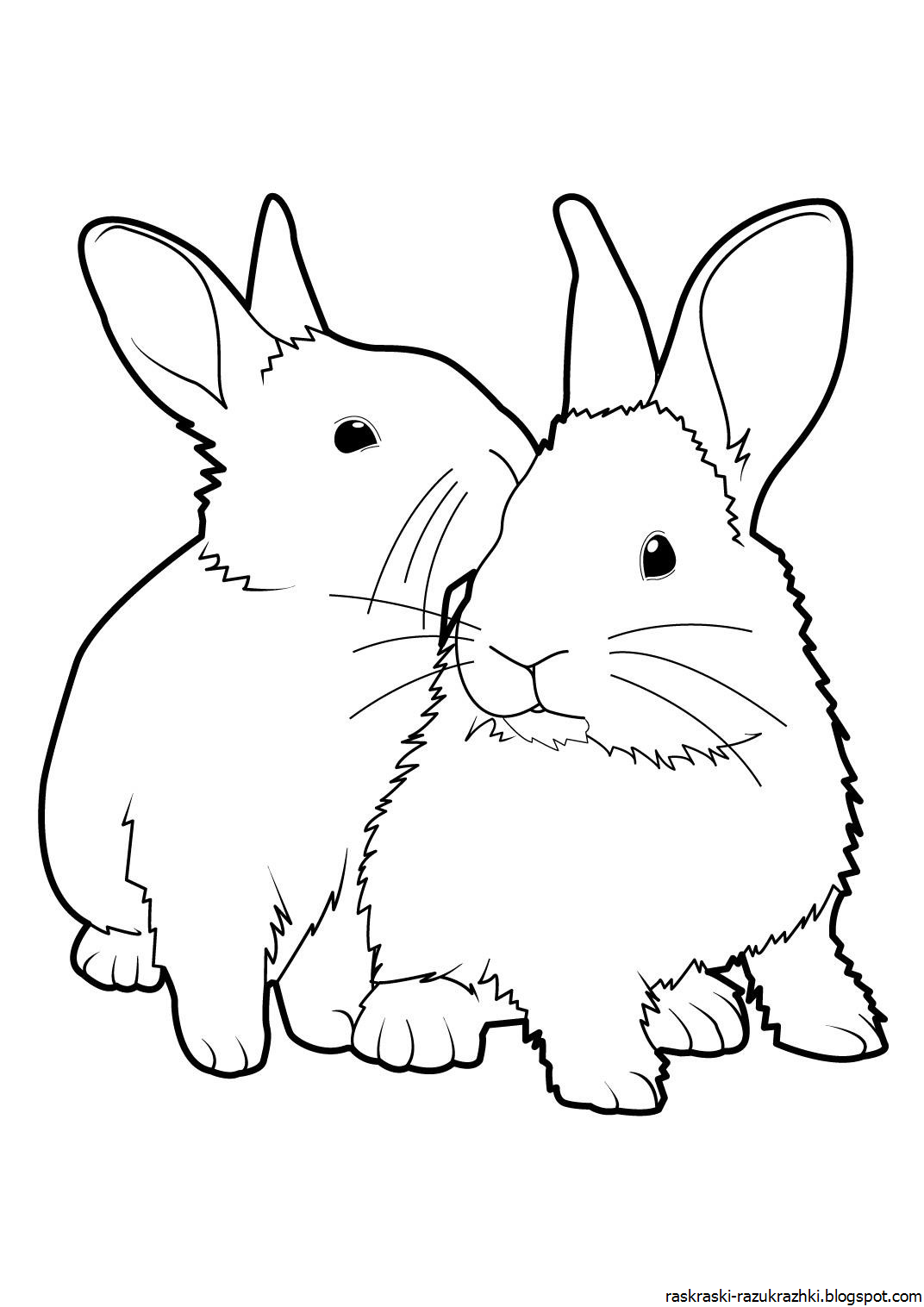 Раскраски для девочек кролики