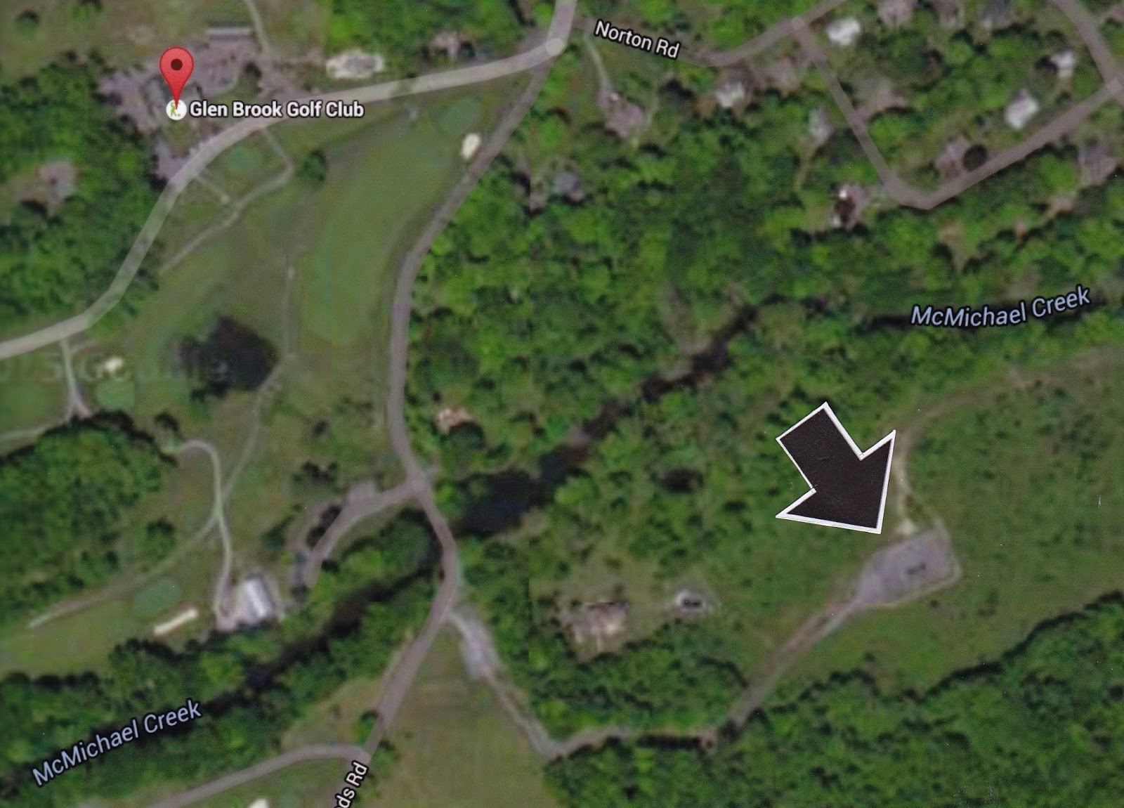 KIKO'S HOUSE Nestlé, Flashpoint In U.S. Water Wars, Is Longtime