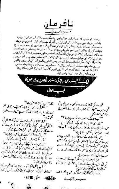 Na farman novel by Mirza Amjad Baig