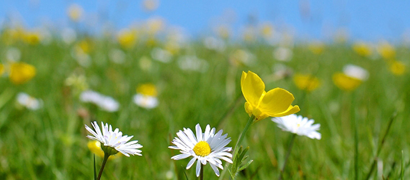 Getting ahead of the action this Spring