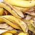 Você joga fora cascas de banana? Conheça 10 grandes utilidades delas!