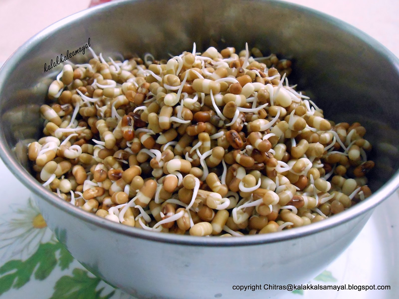 kalakkalsamayal sprouting