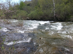 RIO TORIO,14-05-2013