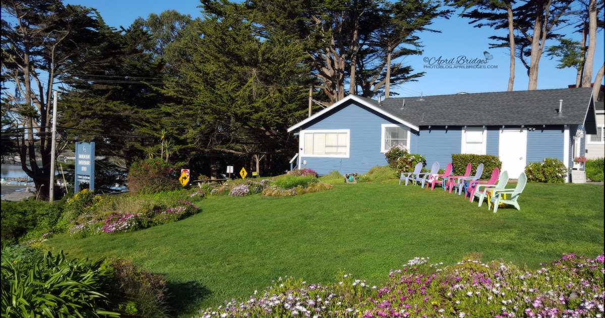 Eyes of Wonder Bodega Bay Peace in Nature