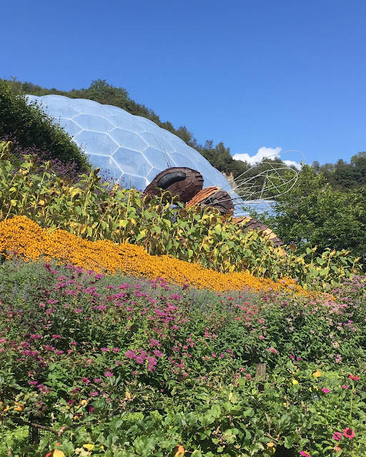 Eden project, cornwall
