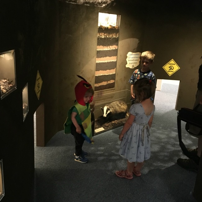Dinosaurs-Worms-and-Sunshine-national-museum-cardiff-toddler-inside-worm-hole-with-badger-and-wormery