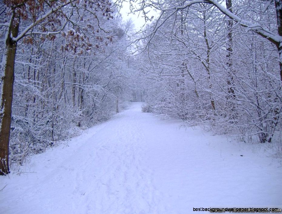 Winter Scenes wallpapers   Crazy Frankenstein