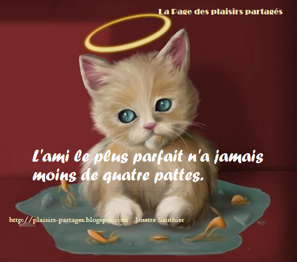 La Page des Plaisirs Partagés Citation sur les chats et