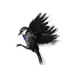 picsart bird editing zone awesome