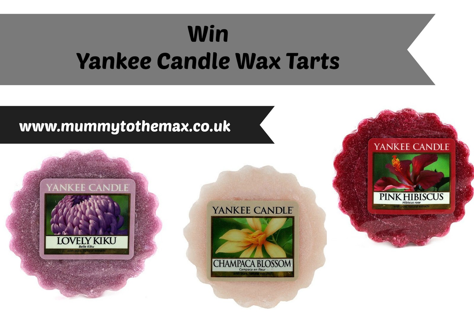 Win Yankee Candle Wax Tart Melts MUMMY TO THE MAX