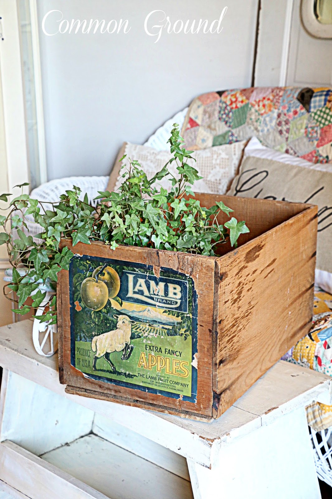 common ground Lambs and Ivy