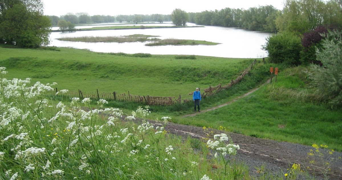 De paden op, de lanen in. Opijnen Wadenoijen (17 km)