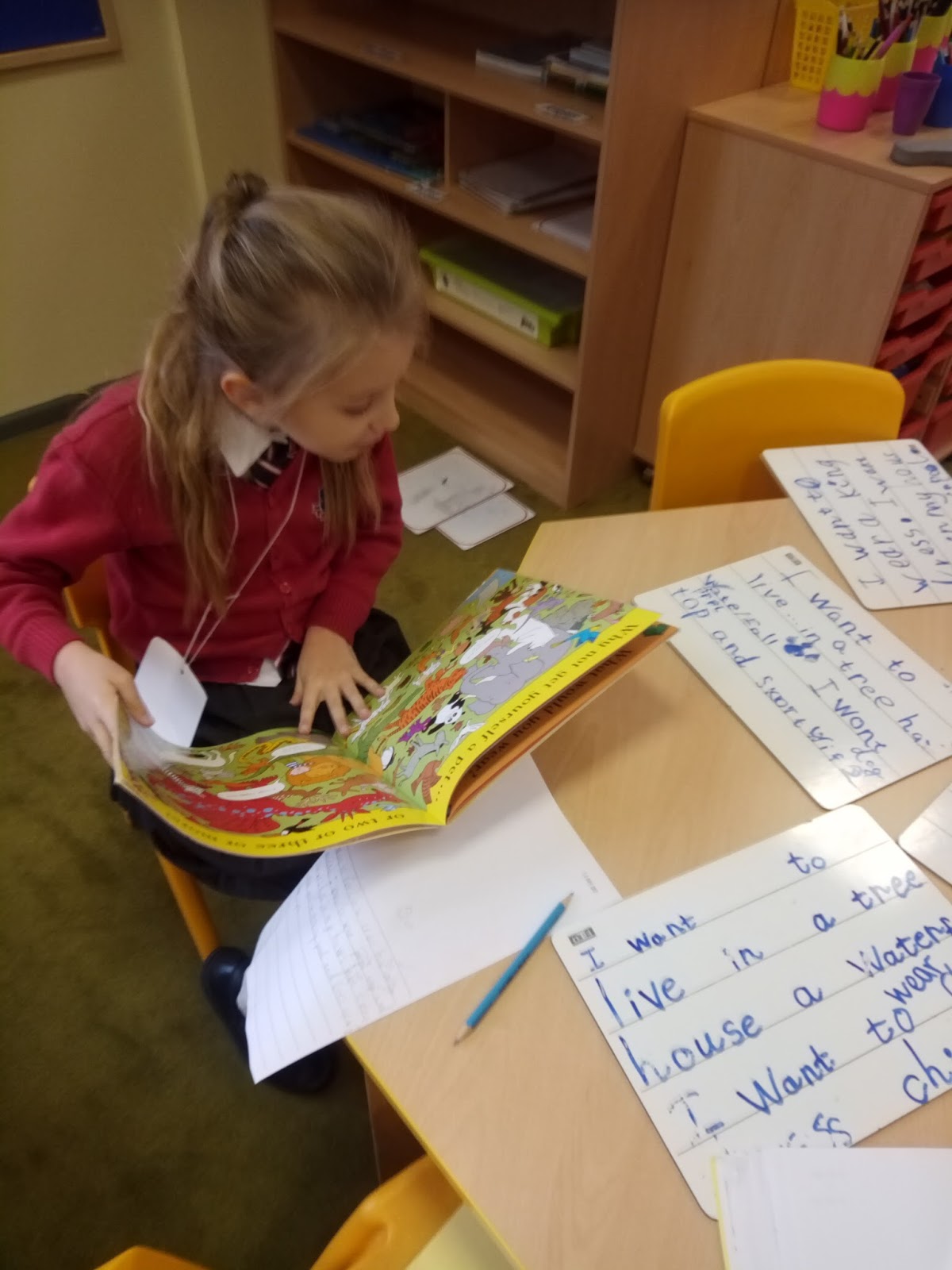 essay about diversity gender equality