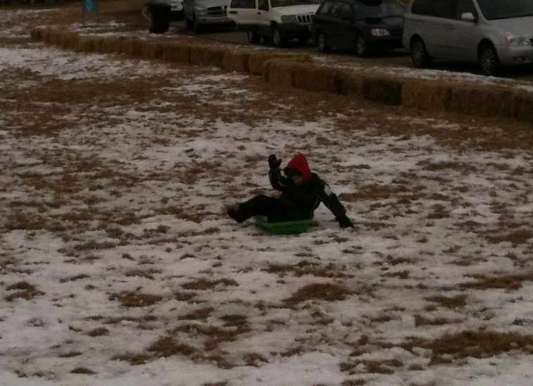 The Joneses Sledding at Sugar House Park