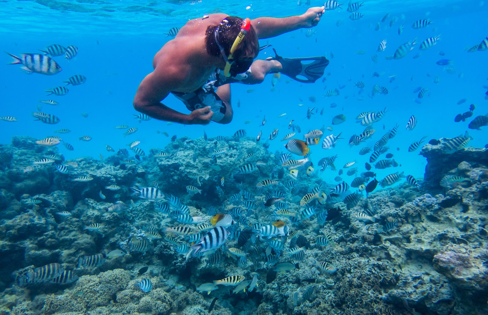 Aquarium Snorkeling Location @ Bora Bora, Tahiti