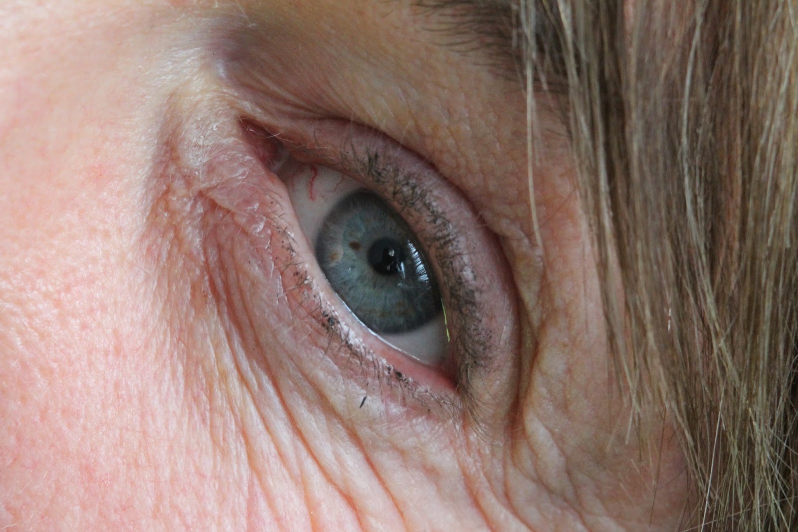 The Bees’ RV: Here's to Aging, Gratefully