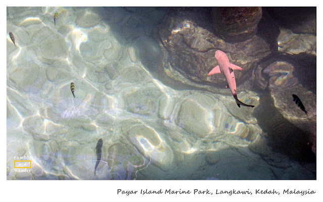 Payar Island Marine Park, Langkawi, Malaysia | Ramble and Wander