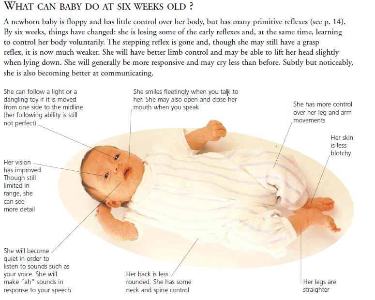 WHAT CAN MY BABY DO AT SIX WEEKS OLD Parents and Child health care
