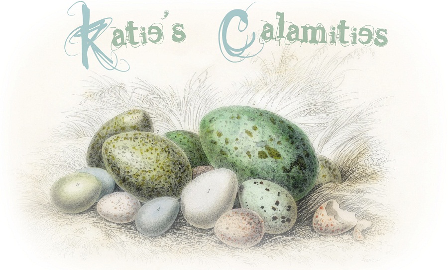 Katie's Calamities