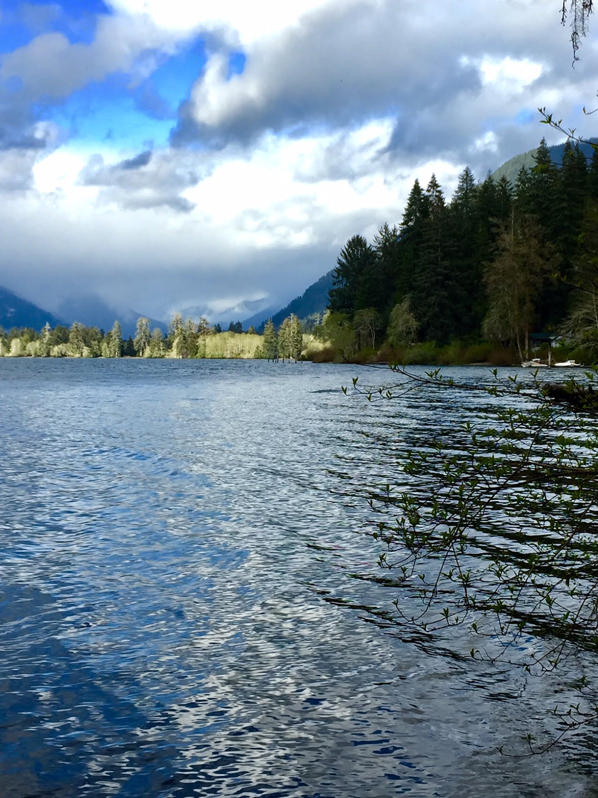 Cloudhidden Lake Quinault