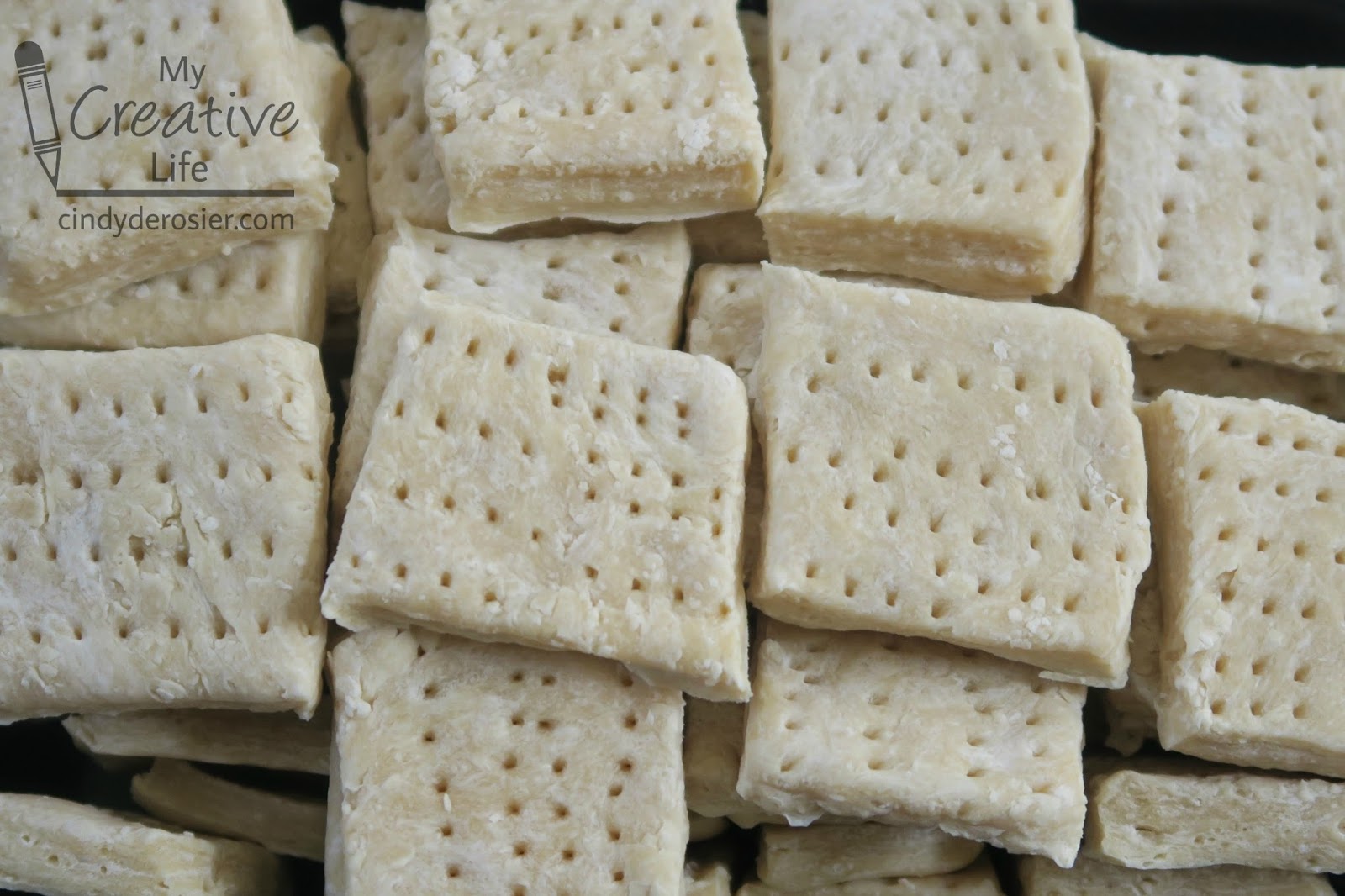 Cindy deRosier My Creative Life The Age of Exploration Sea Biscuits