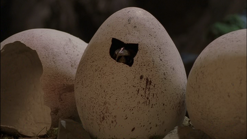 Pterodactyl Egg