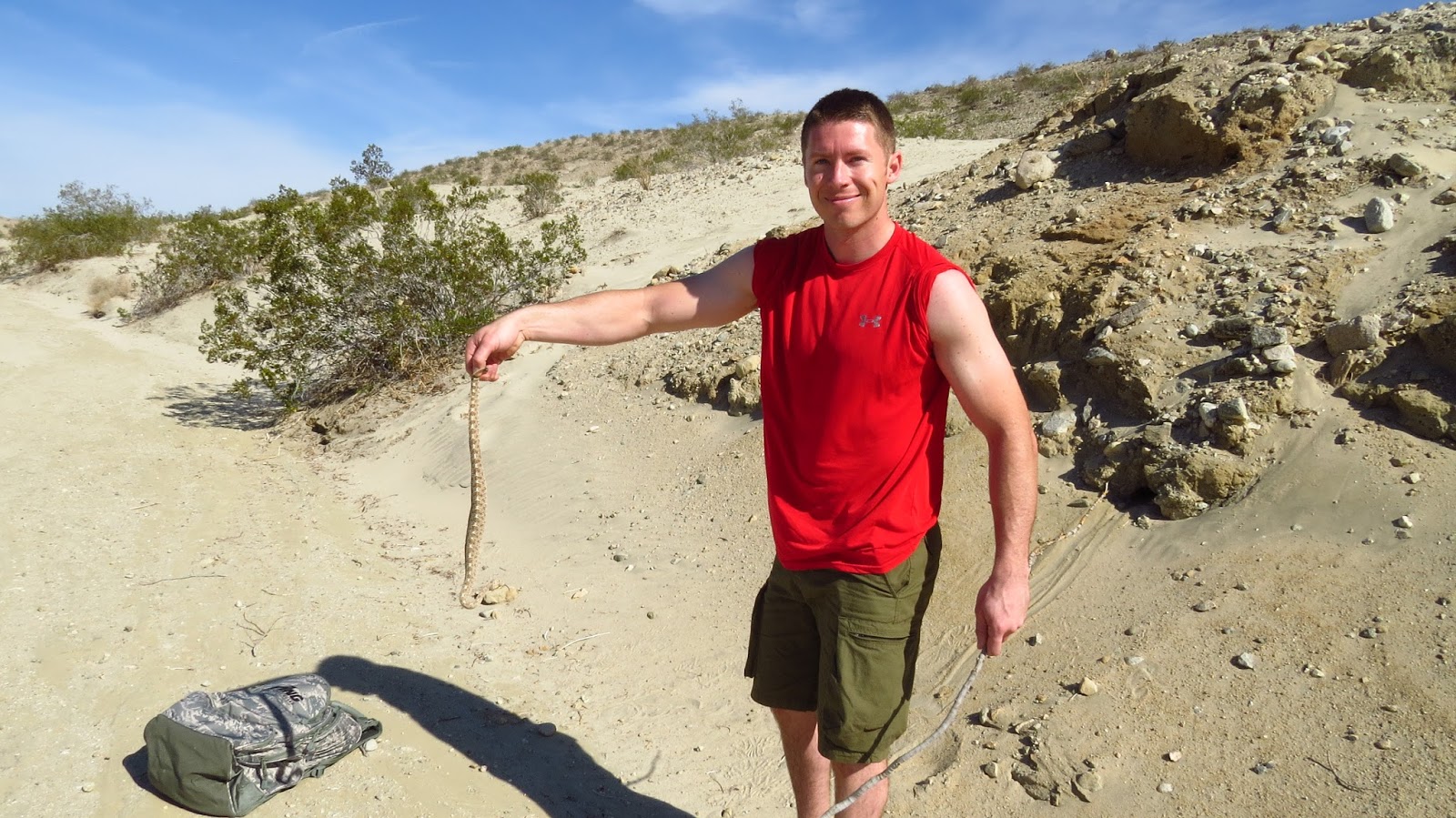 Palm Desert California, Moon Canyon Hike at the Coachella Valley Preserve, Sidewinder Snake
