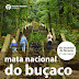 MATA DO BUÇACO comemora o Dia da Árvore e da Floresta com programa para pais e filhos