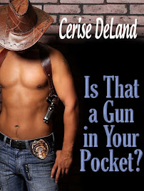 IS THAT A GUN IN YOUR POCKET?