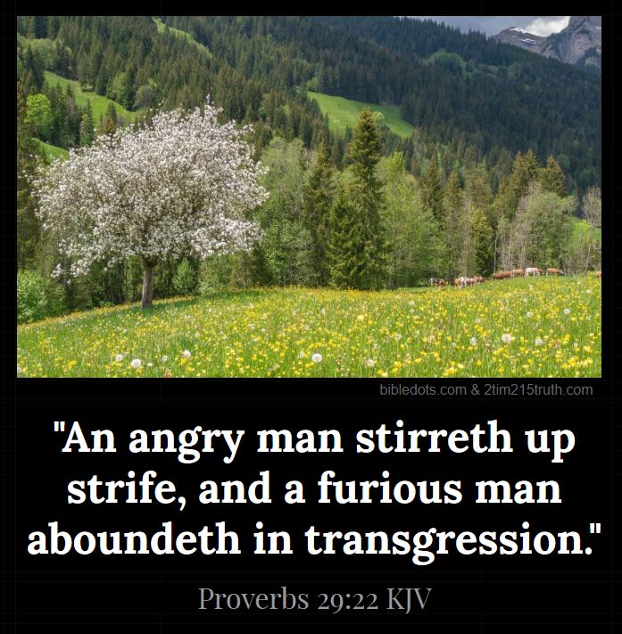 2 Timothy 2:15 Truth: Verse of the Day: Proverbs 29:22 KJV