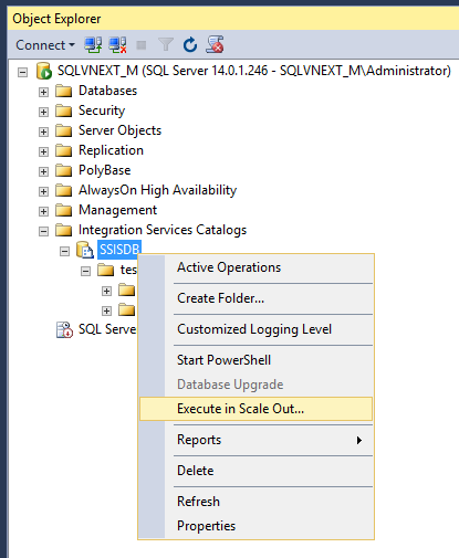 Microsoft SQL Server Integration Services: Execute packages in Scale Out