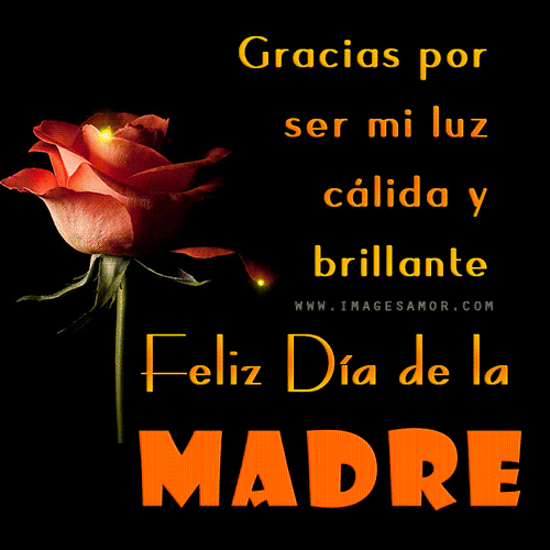 My Image 41