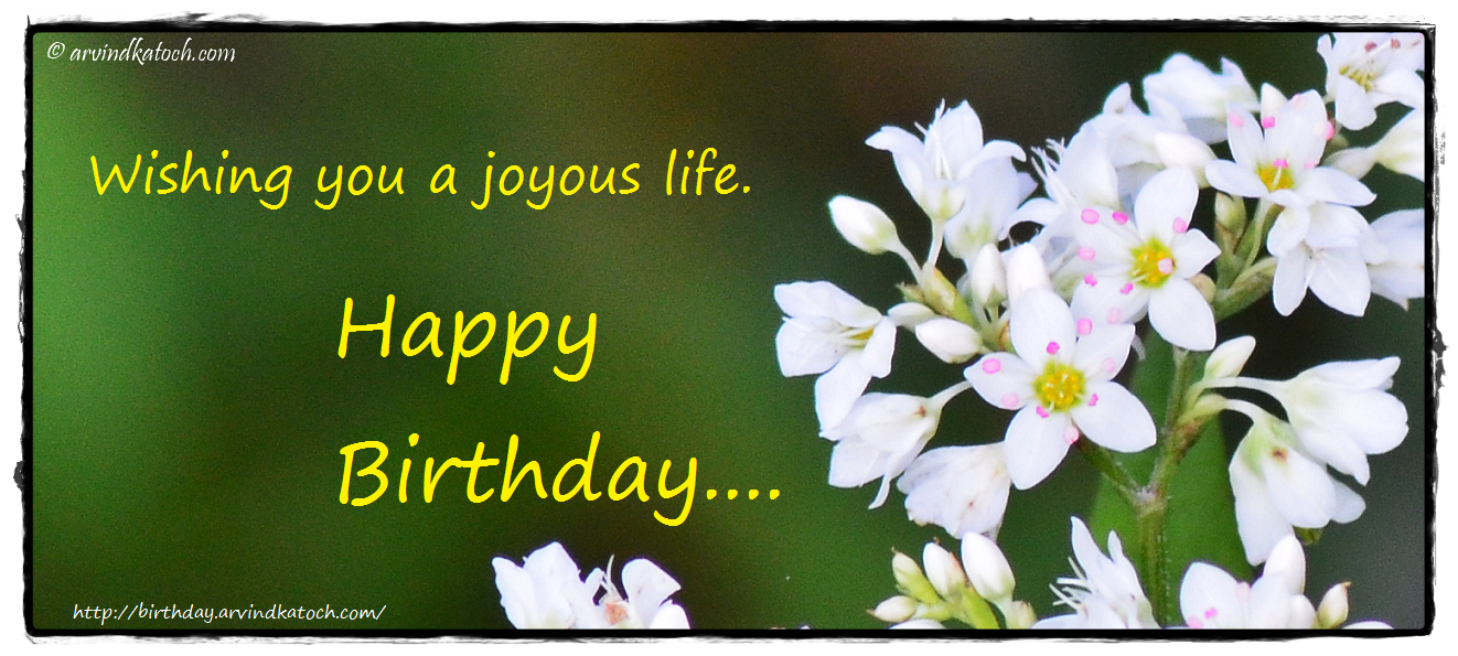 True Picture HD Birthday Cards : Birthday Card with Tiny White Flowers