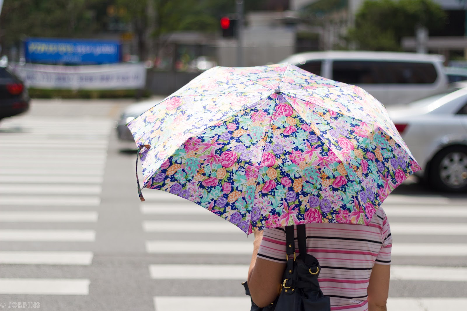 Good Things* Seoul Walking Summer Umbrellas