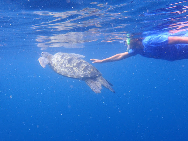 バリ島発、ギリ3島シュノーケリング専門ツアー、ポイントマップ