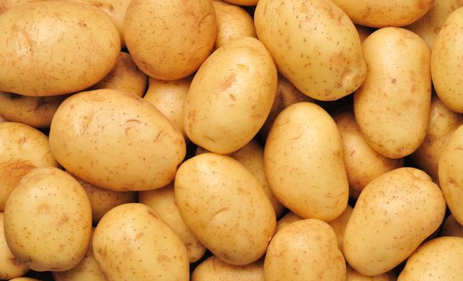 Fun Facts: Potato ~ Fact Buddies