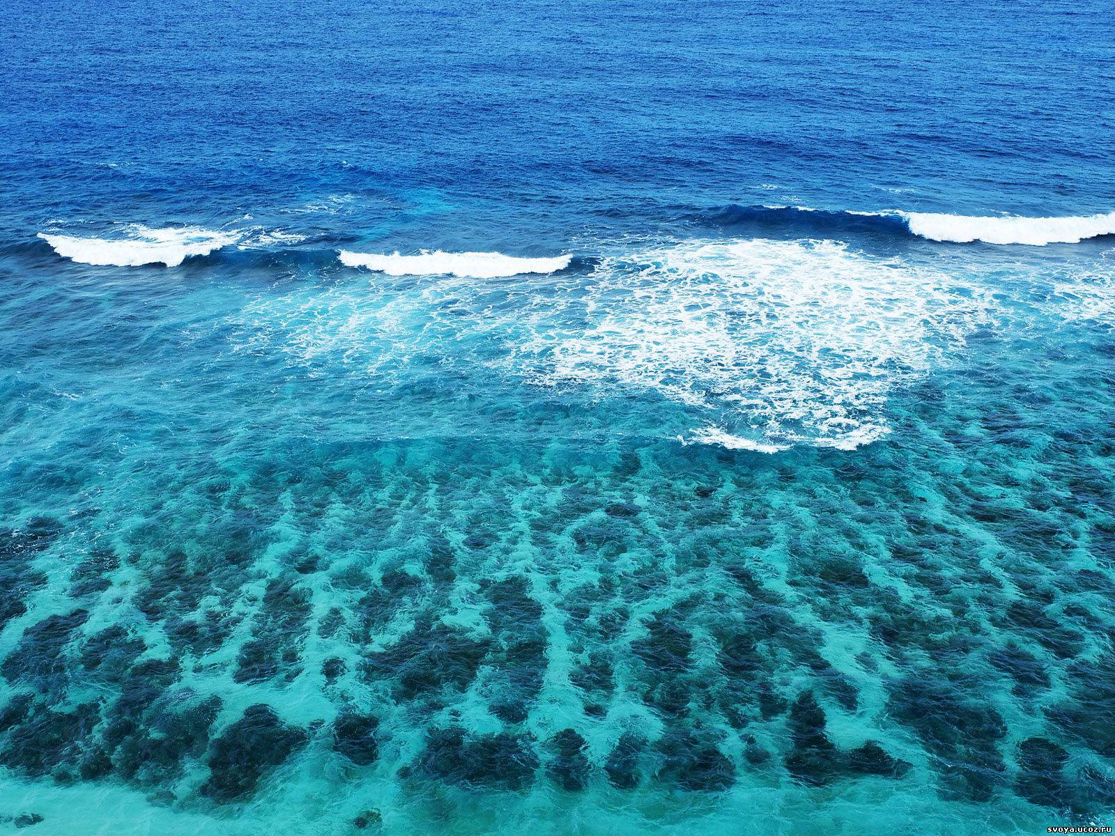 Масса тихого океана. Океан. Мировой океан. Моря и океаны. Красота моря.