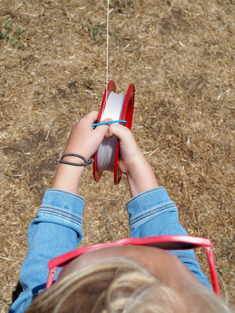 kites for adults near me kites for adults near me