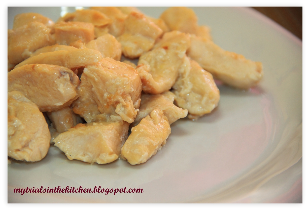 My Trials in the Kitchen Stir Fried Smooth Chicken Cubes with Peppers