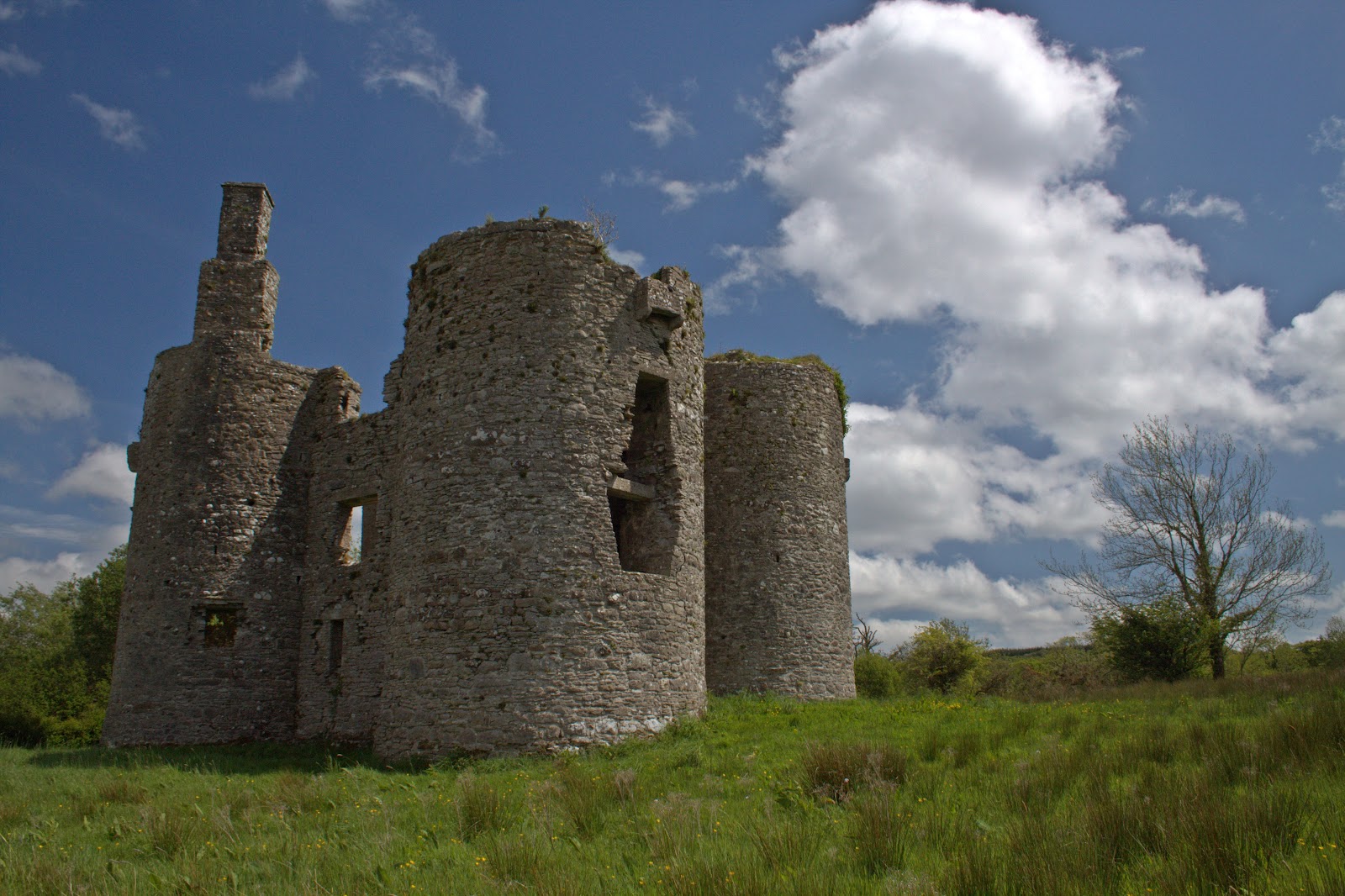 Historic Sites of Ireland Ballinafad Castle