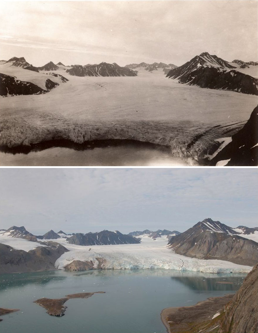 What 100 Years Of Global Warming Has Done To Arctic Glaciers?